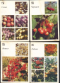 Набор открыток СССР 1986 г. Ваш приусадебный участок, ягоды, фрукты 18 шт Полный + 1 лишняя - вид 6