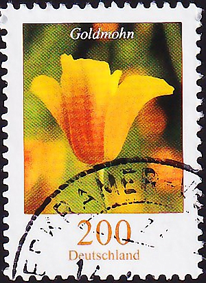 Германия 2006 год . Эшшольция калифорнийская - Калифорнийский мак . Каталог 3,60 € (5)