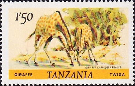 Танзания 1985 год . Жираф (Giraffa camelopardalis) . Каталог 10,0 €. (1)