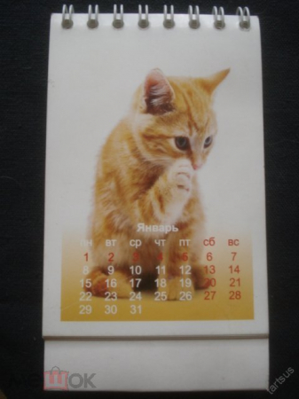 Календарь. "Кошки". 2007 г. в коллекцию