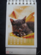 Календарь. "Кошки". 2007 г. в коллекцию - вид 4