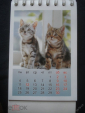 Календарь. "Кошки". 2007 г. в коллекцию - вид 5