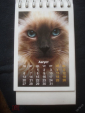 Календарь. "Кошки". 2007 г. в коллекцию - вид 7