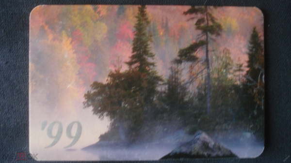 Календарь. "Лесной пейзаж". 1999 г.