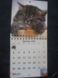Календарь. "Кошки". 2006 г. в коллекцию - вид 1