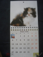 Календарь. "Кошки". 2006 г. в коллекцию - вид 3