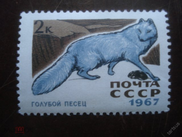 Голубой песец. Почта СССР. Марка 1 шт. 1967г.