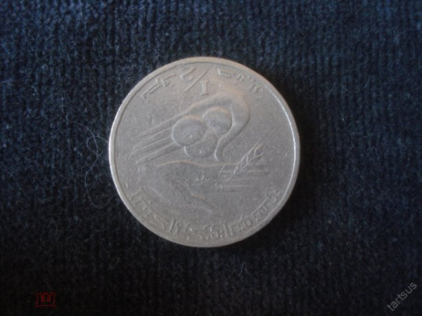 1/2 динара 1983 г. Тунис.