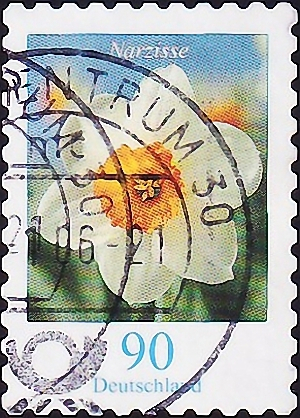 Германия 2006 год . Цветы . Нарцисс . Каталог 2,75 £. (1)
