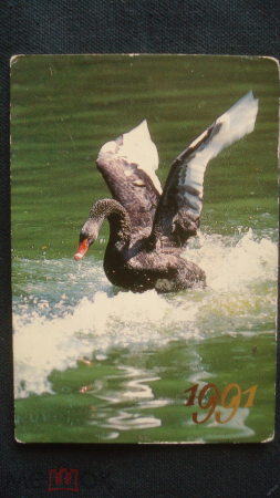 Календарь. "Лебедь". 1991 г.