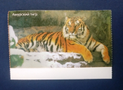 Билет в зоопарк Санкт-Петербург Ленинградский зоопарк 2022 Амурский тигр