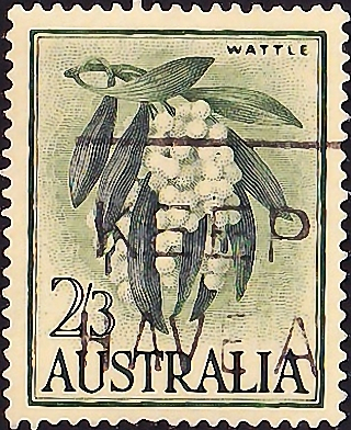 Австралия 1959 год . Флора , Австралийская акация .(2)