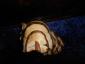 Старинный бюст МАВРИТАНКА, раскрашенный гипс, Россия, 2-я пол.19 века, h-33см /дефекты - вид 2