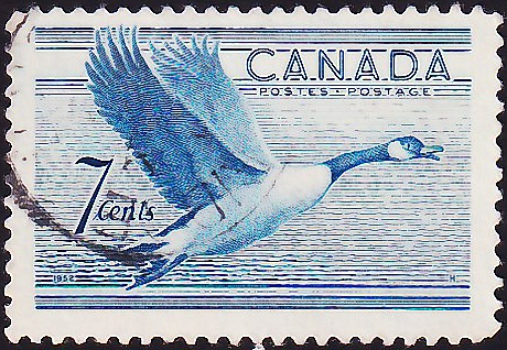 Канада 1952 год . Канадский гусь . (2)