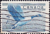 Канада 1952 год . Канадский гусь . (3)