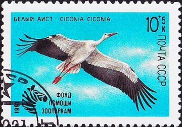 СССР 1991 год . Белый аист (Ciconia ciconia) . Каталог 0,50 €.