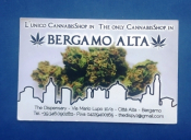 Визитная карточка Cannabis Shop Магазин каннабиса Бергамо Италия
