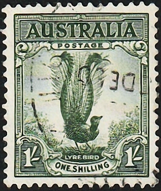 Австралия 1956 год . Лирохвост . Каталог 1,25 £. (1)
