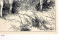 Лось лист из Энциклопедии Брокгауза 13 х 19 см лист 15,5 х 25 см - вид 3
