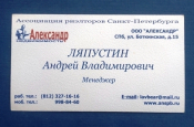 Визитная карточка Агенство недвижимости Александр Санкт-Петербург