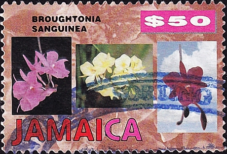 Ямайка 1997 год . Стандартные орхидеи 1997-99 гг . Каталог 4,80 €.