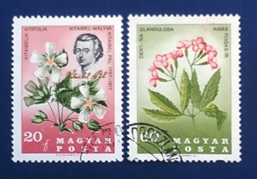 Венгрия 1967 Цветы Карпат ботаник Пауль Китайбель Sc# 1811-1812 Used