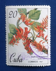 Куба 1967 Эритрина поэппигианская (Erythrina poeppigiana) Sc# 1231 Used