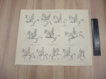 немецкая гравюра литография Reitkunst искусство верховой езды лошади редкость Германия начало 20 в 