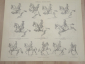 немецкая гравюра литография Reitkunst искусство верховой езды лошади редкость Германия начало 20 в  - вид 1
