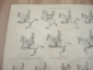 немецкая гравюра литография Reitkunst искусство верховой езды лошади редкость Германия начало 20 в  - вид 2