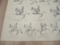 немецкая гравюра литография Reitkunst искусство верховой езды лошади редкость Германия начало 20 в  - вид 3