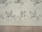 немецкая гравюра литография Reitkunst искусство верховой езды лошади редкость Германия начало 20 в  - вид 5