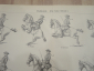 немецкая гравюра литография Reitkunst искусство верховой езды лошади редкость Германия начало 20 в  - вид 6