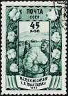 СССР 1939 год . Всесоюзная сельскохозяйственная выставка в Москве . Хлопководство .