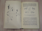 2 книги учебник биология с общей генетикой генетика биолог наука гены хромосомы СССР 1966 г. - вид 5