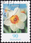  Германия 2006 год . Цветы . Нарцисс . Каталог 2,75 £ (2)