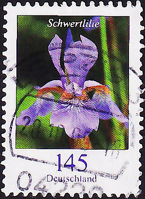 Германия 2006 год . Меч лилия (Iris xiphium) . Каталог 2,60 €. (1)