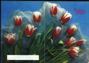 Открытка Россия 1994 г. С праздником 8 марта, цветы, тюльпаны фото. Н. Агладзе двойная чистая К002