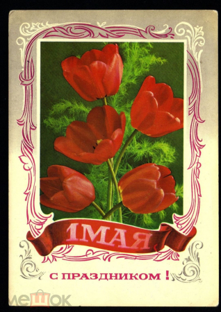 Открытка Россия 1977 г. 1 мая, цветы, тюльпаны худ. В. Гордеев чистая К002