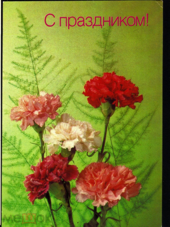 Открытка СССР 1990 г. С праздником, цветы, гвоздики фото И. Дергилева ДМПК К002
