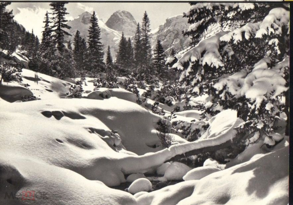 Открытка Болгария 1962 г. Рила. Зимний пейзаж фото Д. Влаева фотоиздат подписана