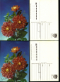 Открытка СССР 1992 г. Букет, цветы, фото И. Дергилева ДМПК чистая К002 - вид 2
