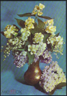 Открытка СССР 1973 г. Флора, цветы в вазе. худ. фото Костенко 2 ДМПК подписана