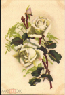 Открытка СССР 1961 г. Цветы, Белые розы. ЦФА Октообер Таллин чистая