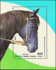 Республика Тыва 1995 год . Лошадь , блок . Каталог 5,0 €.
