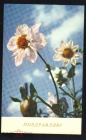 Открытка СССР 1967 г. С 8 марта. Поздравляю, цветы, фото К. Рыкова СХ чистая