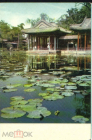 Открытка Китай 1950-е г. КНР.Сад Сацюйюань в парке Ихаюань, кувшинки, лотос чистая