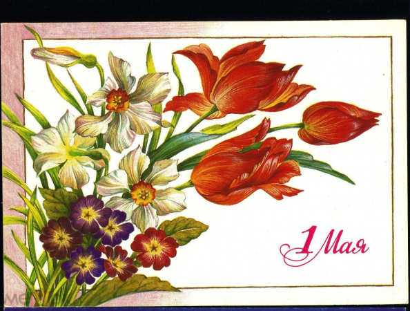 Открытка СССР 1991 г. 1 мая, цветы, Тюльпаны, букет худ. Похитонова ДМПК люкс чистая К002