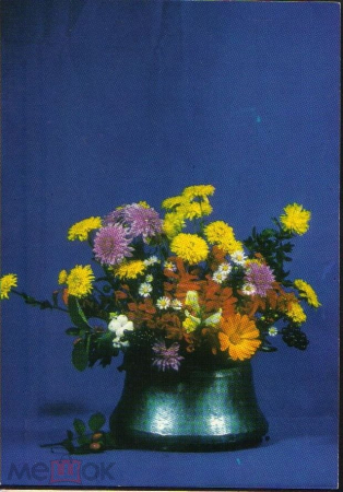 Открытка Болгария 1973 г. Цветы, композиция Цветы флора, ваза фото. Е. Паскалева София подписана