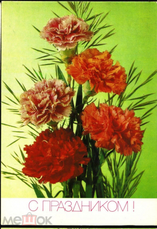 Открытка СССР 1991 г. С праздником, цветы, цветы фото Дергилева ДМПК чистая К001